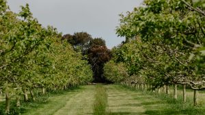 farm