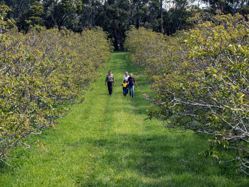 Two people walking through the farm.