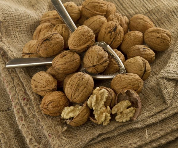 A number of Chandler walnuts sitting on a table.