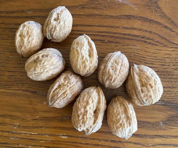 Nine In-shell Franquette walnuts laying on a table.
